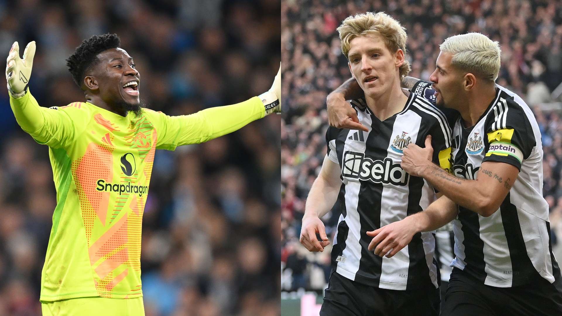 家队来说是 家队来说是